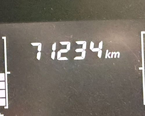 WhatsApp Image 2026-02-13 at 17.31.15