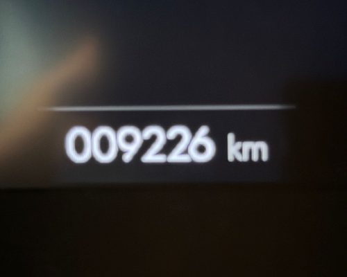 WhatsApp Image 2026-03-13 at 10.07.16